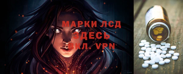 молекула духа Арсеньев