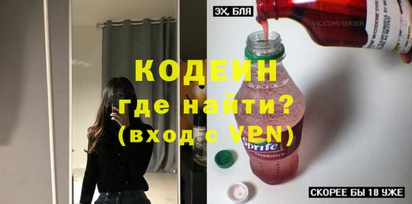 молекула духа Арсеньев