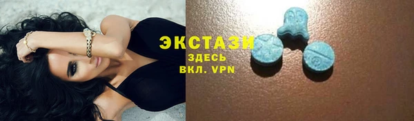 стаф Алексин