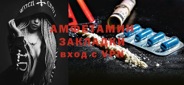 молекула духа Арсеньев