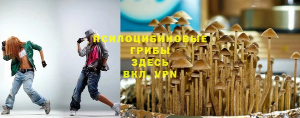стаф Алексин