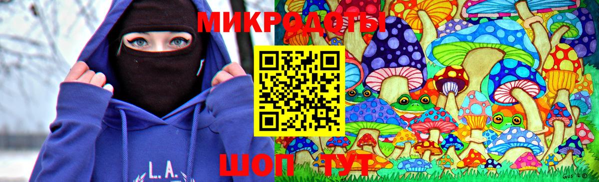 Псилоцибиновые грибы Psilocybe Миасс