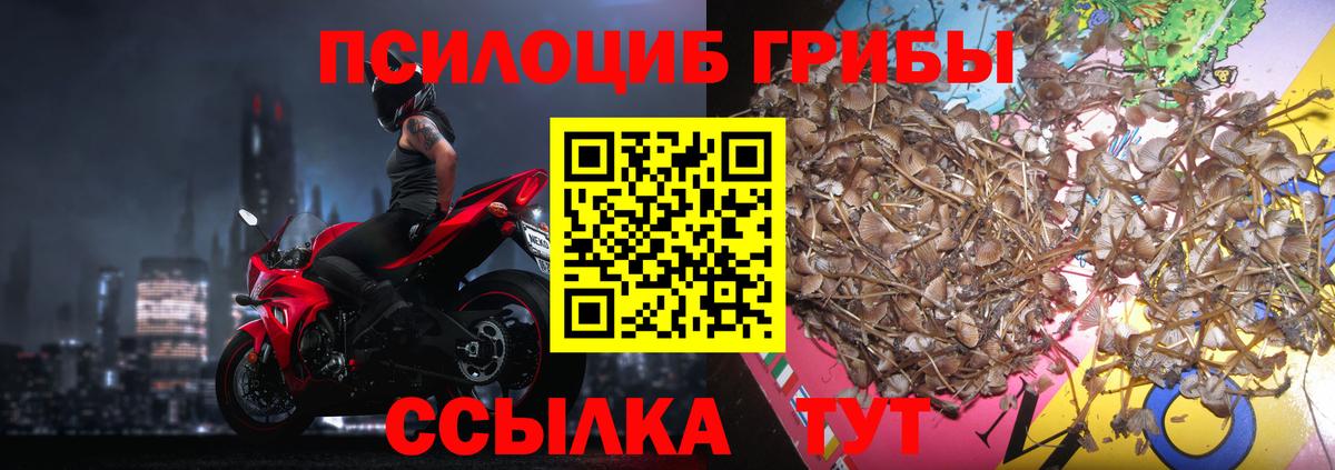Миасс  Галлюциногенные грибы Cubensis  Вход с VPN 